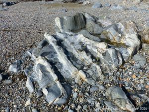 Outcrop of St Peter Port Gabbro with veins at Spur Bay in the Channel Island of Guernsey