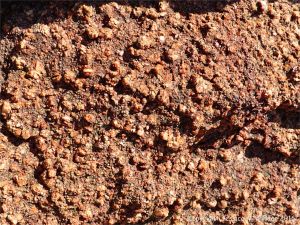 Rock close-up of disintegrating Cobo Granite