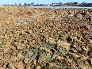 Granite-Diorite Marginal Facies at Cobo Bay