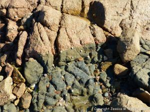 Granite-Diorite Marginal Facies at Cobo Bay