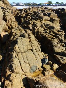 Xenolith in Cobo Granite