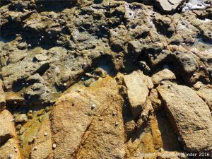 Junction between Cobo Granite and Bordeau Diorite Complex