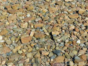 Angular stone fragments of contrasting colours on the shore at Cobo Bay