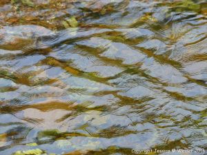 Surface water texture and relection on the River Anse at Lone Shieling
