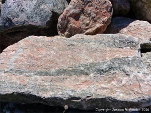 Texture and pattern in Devonian plutonic rocks in Cape Breton Island, Nova Scotia