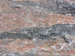Texture and pattern in Devonian plutonic rocks in Cape Breton Island, Nova Scotia, Canada.