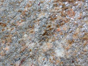 Close-up of texture and pattern in Devonian plutonic rocks used as rip-rap at White Point Harbour in Cape Breton Island, Nova Scotia, Canada.