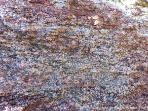Close-up of texture and pattern in Devonian plutonic rocks used as rip-rap at White Point Harbour in Cape Breton Island, Nova Scotia, Canada.