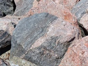 Texture and pattern in Devonian plutonic rocks in Cape Breton Island, Nova Scotia, Canada.