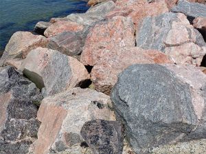 Texture and pattern in Devonian plutonic rocks in Cape Breton Island, Nova Scotia, Canada.