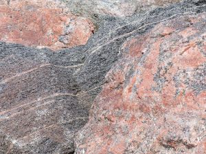 Texture and pattern in Devonian plutonic rocks in Cape Breton Island, Nova Scotia, Canada.