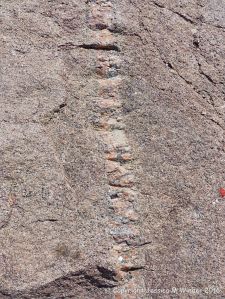 Texture and pattern in Devonian plutonic rocks in Cape Breton Island, Nova Scotia, Canada.