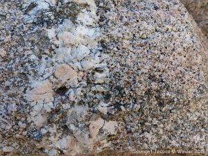 Close-up of texture and pattern in Devonian plutonic rocks used as rip-rap at White Point Harbour in Cape Breton Island, Nova Scotia, Canada.