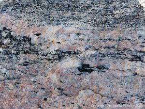 Close-up of texture and pattern in Devonian plutonic rocks used as rip-rap at White Point Harbour in Cape Breton Island, Nova Scotia, Canada.