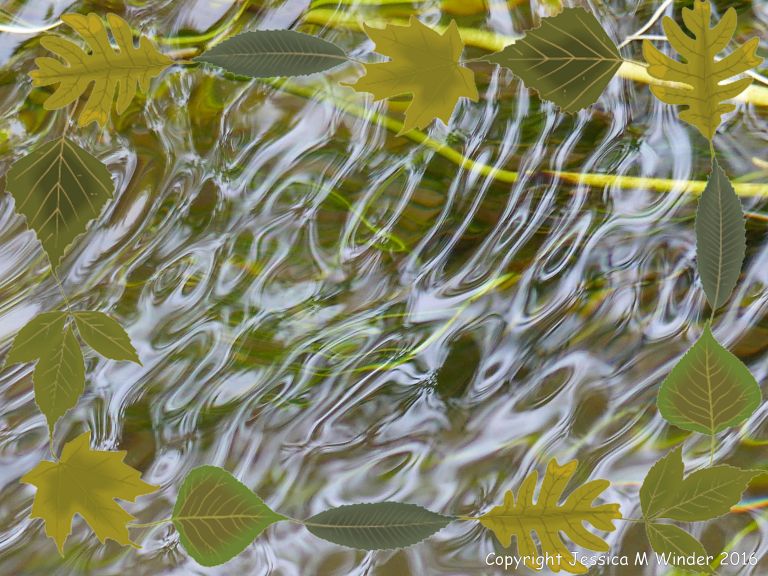 RNatural pattern and texture of reflections and ripples on the surface of clear flowing water