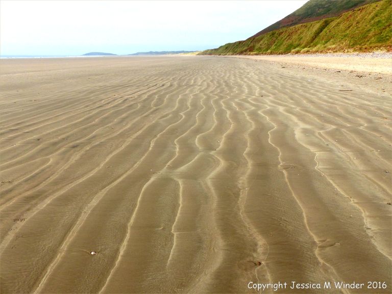 Natural patterns left by the ebbing tide on a sandy beach