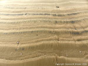 Natural patterns left by the ebbing tide on a sandy beach
