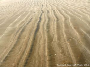 Natural patterns left by the ebbing tide on a sandy beach