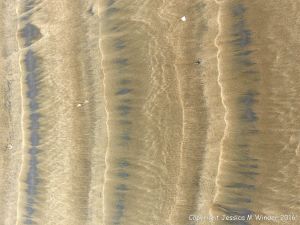 Natural patterns left by the ebbing tide on a sandy beach