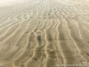 Natural patterns left by the ebbing tide on a sandy beach