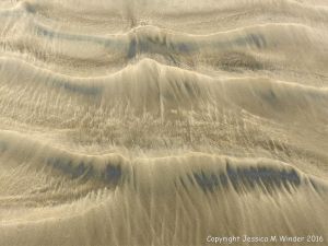 Natural patterns left by the ebbing tide on a sandy beach