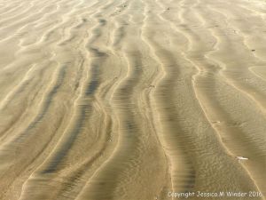 Natural patterns left by the ebbing tide on a sandy beach