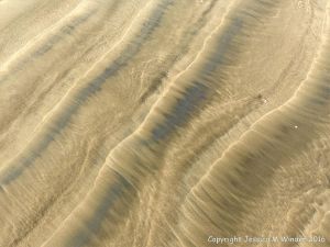 Natural patterns left by the ebbing tide on a sandy beach