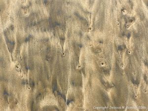 Natural patterns left by the ebbing tide on a sandy beach