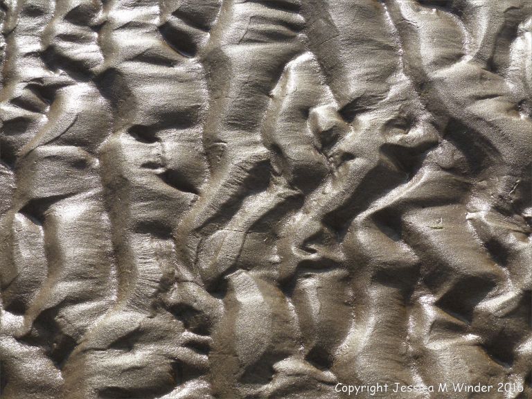 Ripples patterns in wet sand at the beach