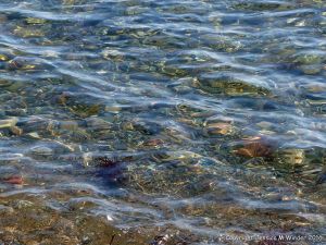 Multi-coloured underwater pebbles at Crystal Cliffs Beach