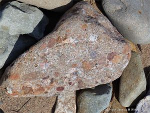 Beach stone of conglomerate on Crystal Cliffs shore