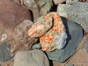 Beach stones with gypsum crystals at Crystal Cliffs Beach