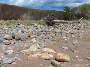 Beach stones and driftwood at Crystal Cliffs Beach