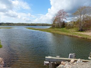 View looking southwards over Ogden's Pond from the bridge at Crystal Cliffs Beach