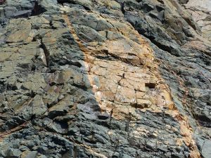 Rock pattern and texture in a basalt flow on Cape Breton Isand, Nova Scotia.