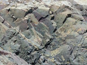 Rock pattern and texture in a basalt flow on Cape Breton Isand, Nova Scotia.