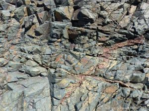 Rock pattern and texture in a basalt flow on Cape Breton Isand, Nova Scotia.