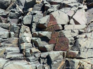 Rock pattern and texture in a basalt flow on Cape Breton Isand, Nova Scotia.