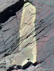 Rock pattern and texture in a basalt flow on Cape Breton Isand, Nova Scotia.