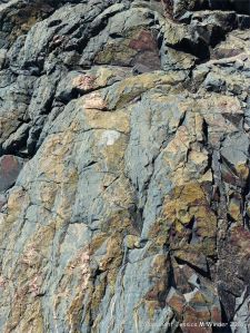 Rock pattern and texture in a basalt flow on Cape Breton Isand, Nova Scotia.