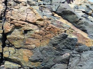 Rock pattern and texture in a basalt flow on Cape Breton Isand, Nova Scotia.