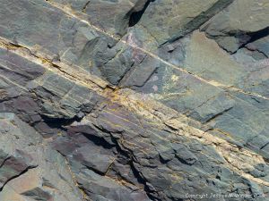 Rock pattern and texture in a basalt flow on Cape Breton Isand, Nova Scotia.