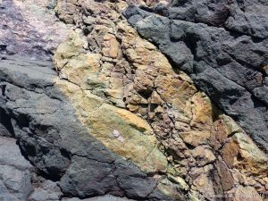 Rock pattern and texture in a basalt flow on Cape Breton Isand, Nova Scotia.