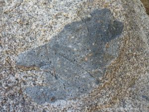 Rock texture and natural pattern in Herm Granodiorite with xenolith