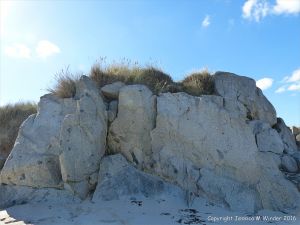 Rocky outcrop of Herm Granodiorite on Mouisonniere Beach