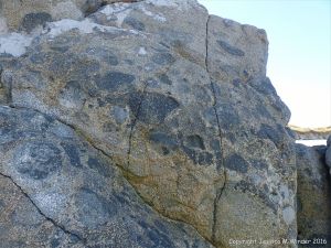 Natural rock pattern and texture in Herm Granodiorite with xenoliths