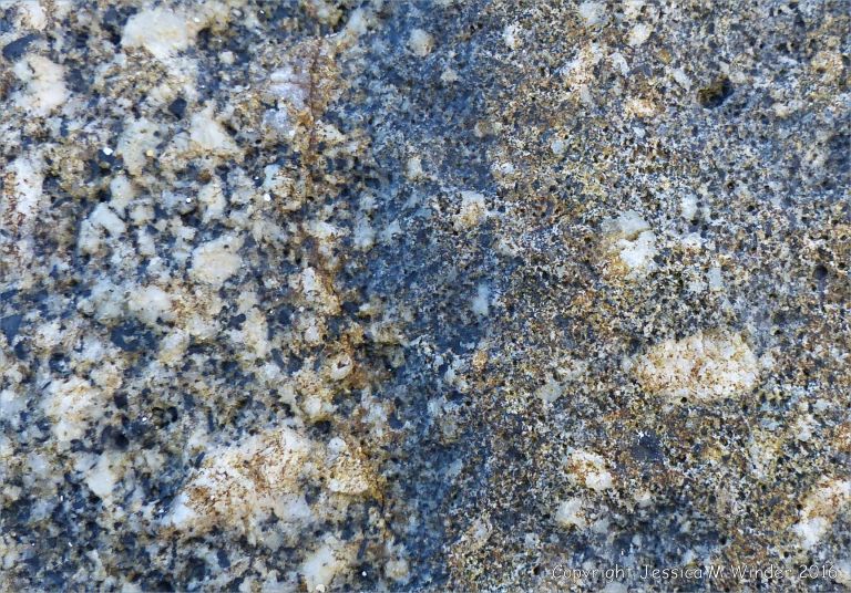Macro photograph of crystals in Herm Granodiorite with a xenolith