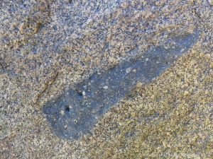 Rock texture and natural pattern in Herm Granodiorite with xenolith