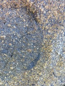 Close-up of natural rock pattern and texture in Herm Granodiorite with xenolith