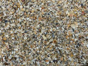 Close-up of coarse shell sand at Belvoir Bay on the Channel Island of Herm